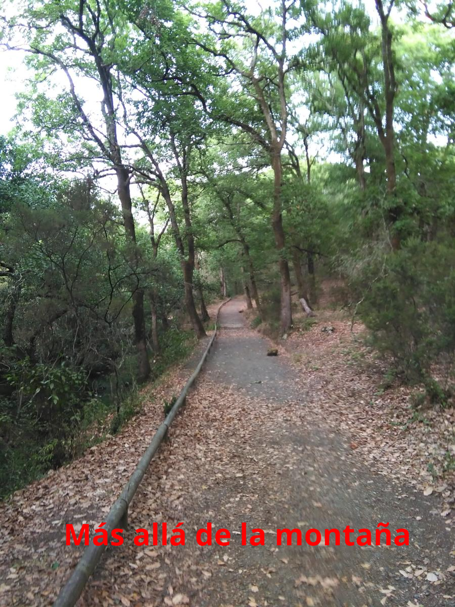 sendero adaptado a minusválidos