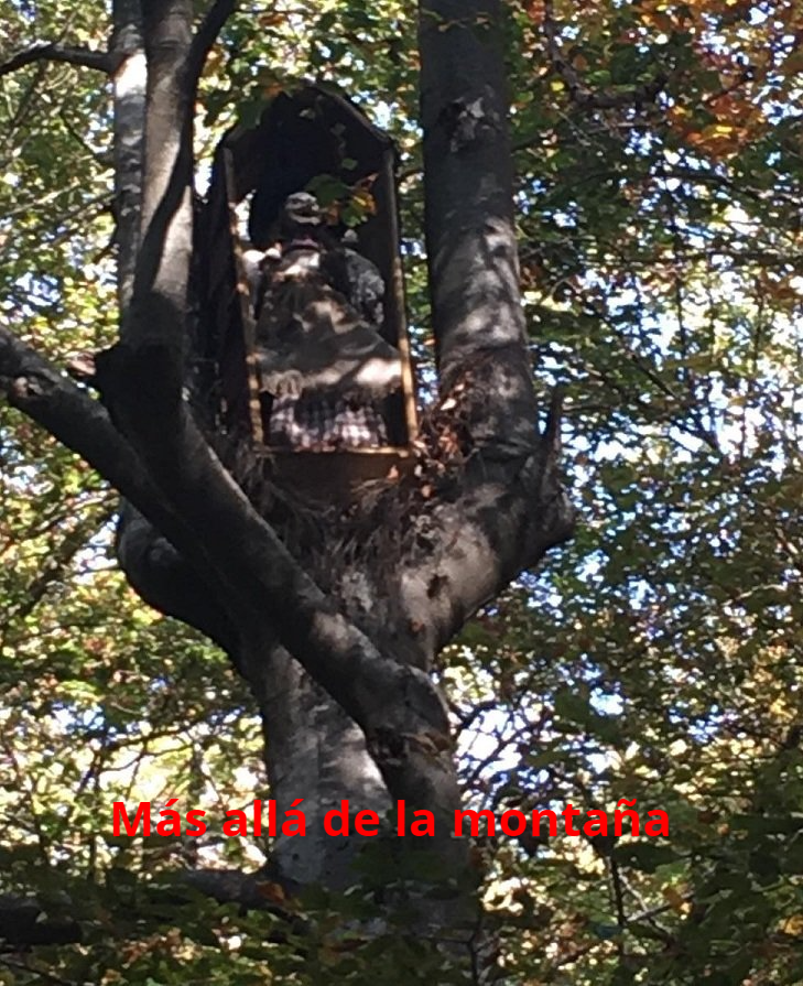la bruja Haeda
