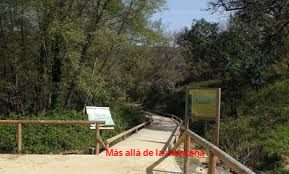 Sendero adaptado con barandillas y suelo de madera unos 600 m