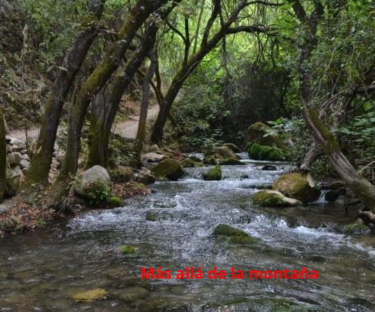 RÍO MAJACEITE