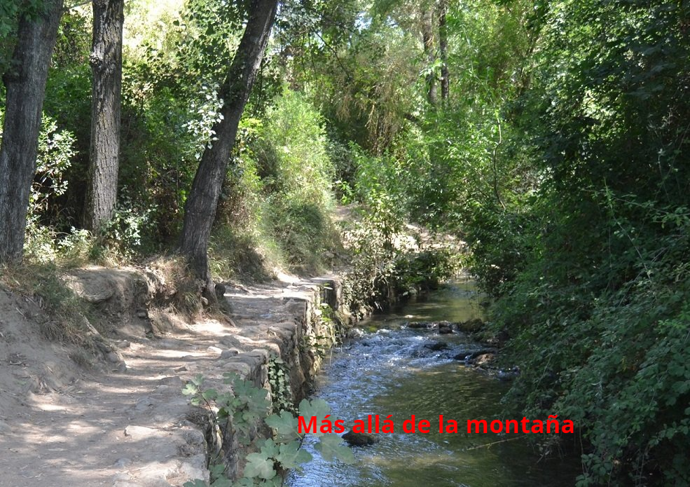 el camino discurre al lado del río Majaceite