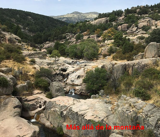 Pilones del río manzanares