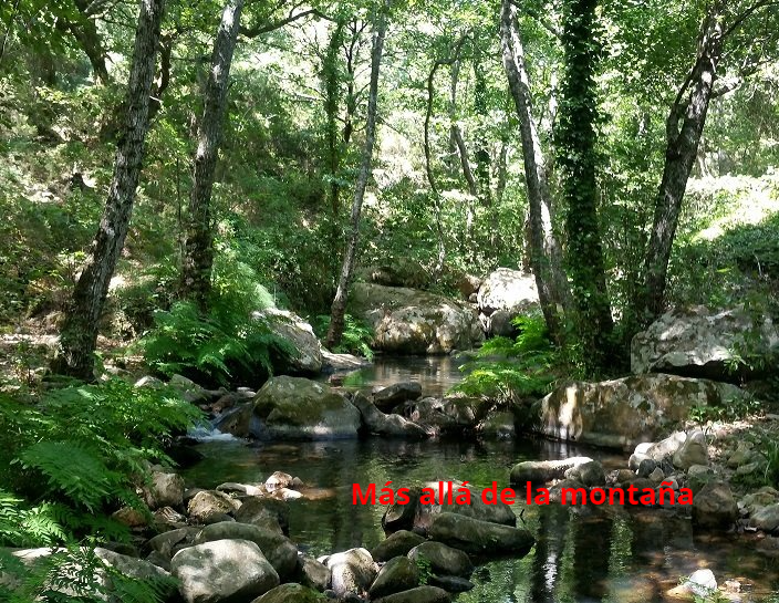 río de La Miel