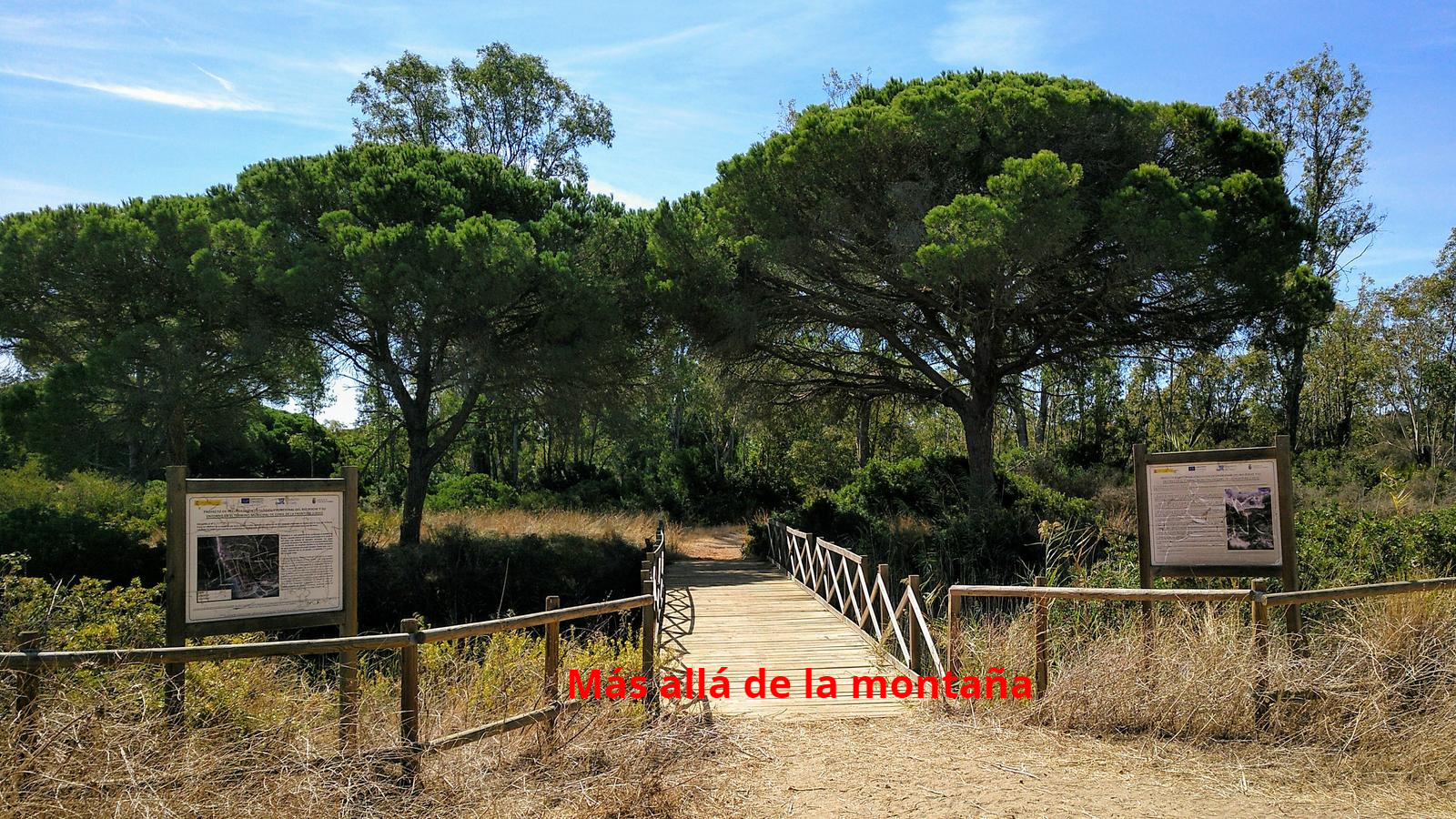 Sendero del río que conecta la urbanización Roche con el Puerto de Conil