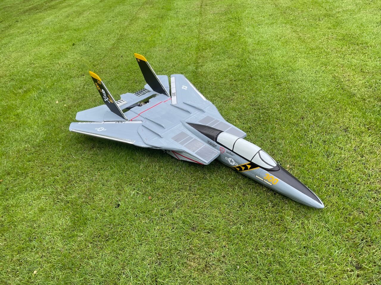 Modellflugzeug F-14 fertig auf dem Rasen