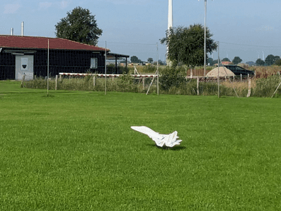 Landung der Su30 auf dem Rasen