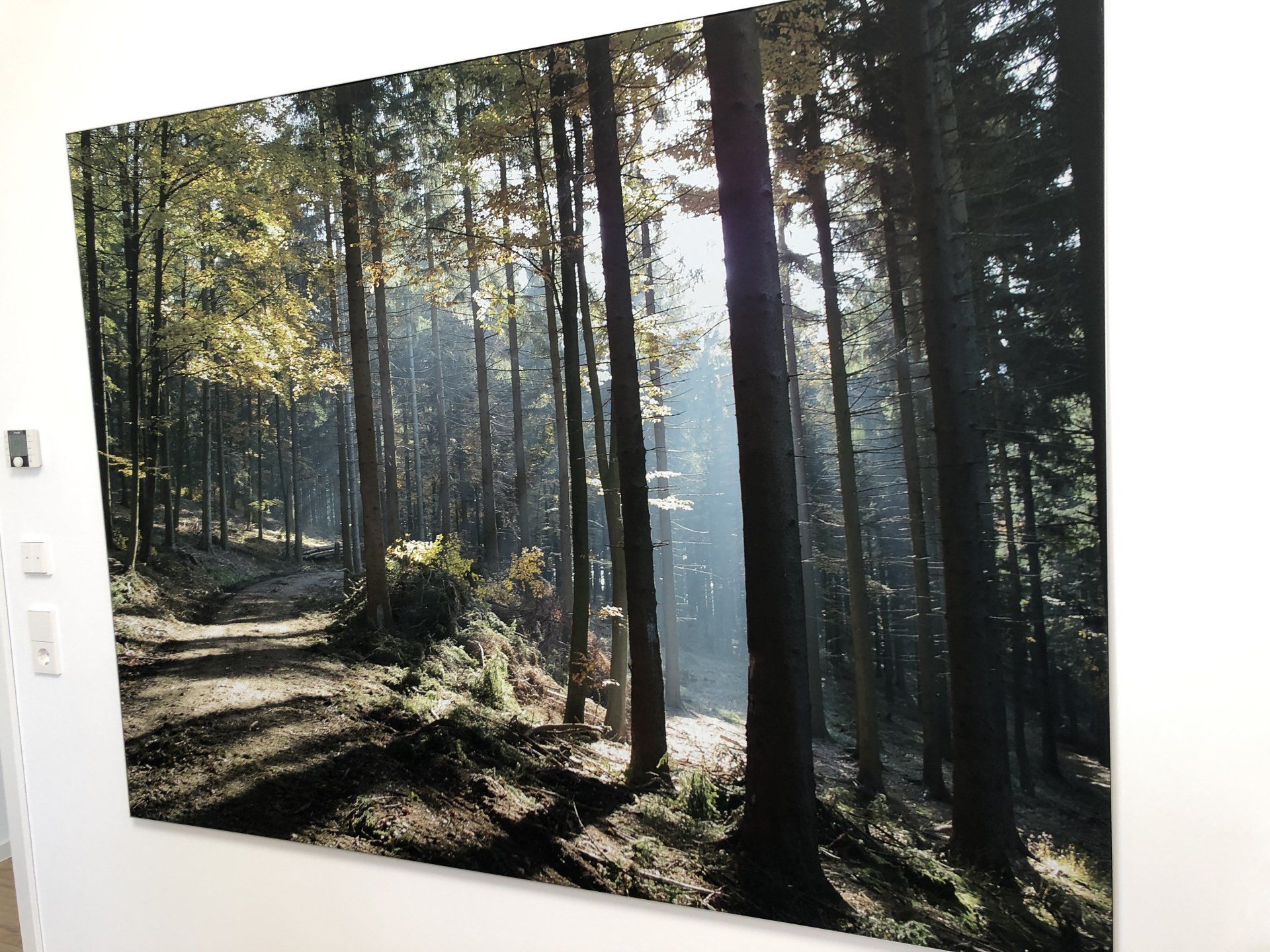 Digitaldruck Großformatdruck Textil Displaystoff Dekostoff Tapete Aichach Textilbild Akustikbild Leuchtbild LED Messesysteme Textil-Spannrahmen Rahmensysteme