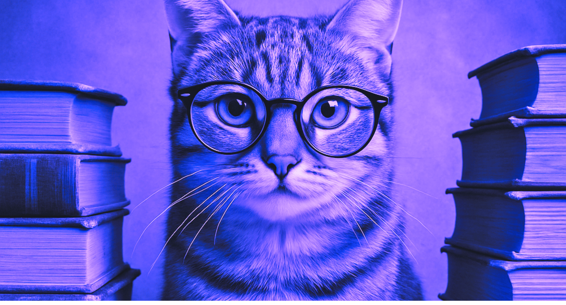cat has questions