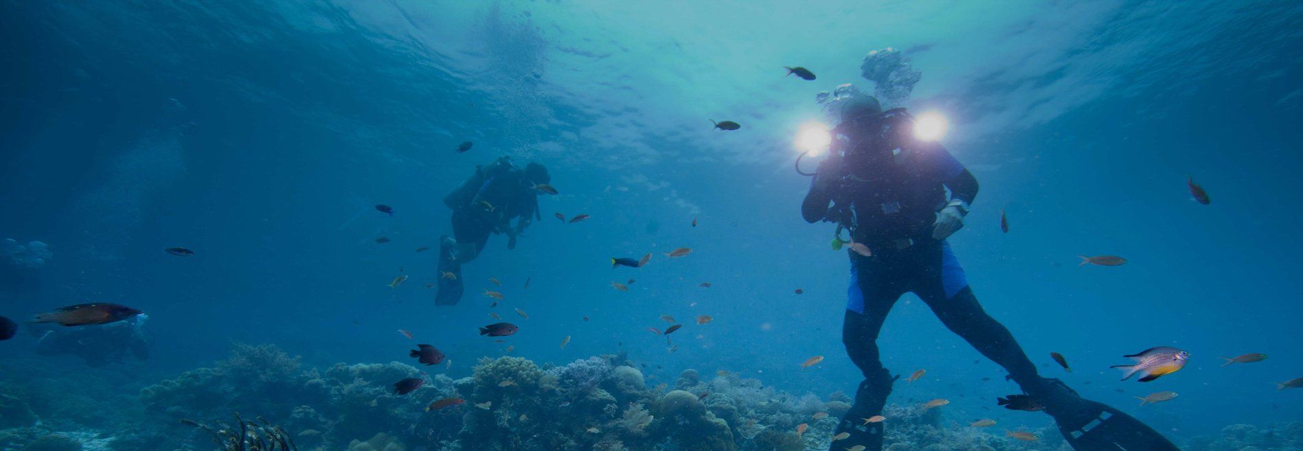 las linternas y focos AGLOWLIGHT son aptas para mar, tierra, aire y fuego...