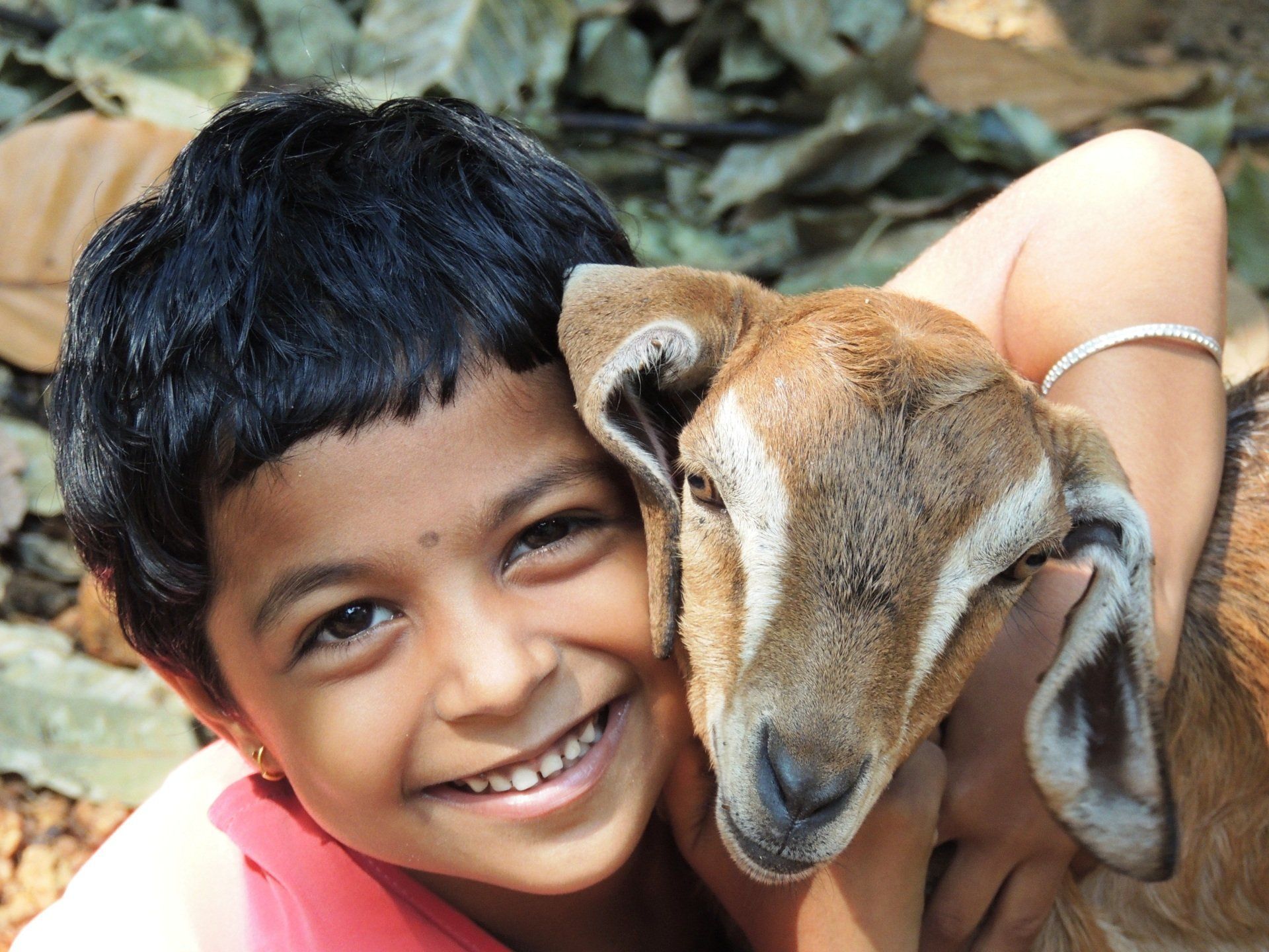 faunavoice India