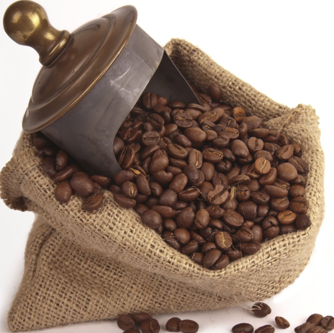 Coffee suppliers and the history of coffee