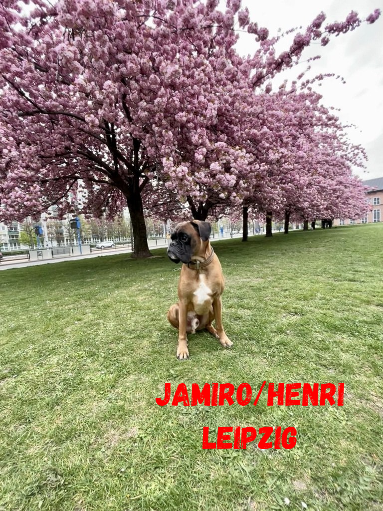 Jamiro/Henri (Leipzig)