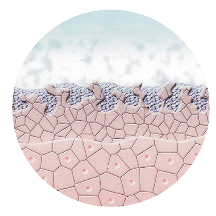 Mikrodermabrasion Gesichtsbehandlung im Kosmetikstudio HOUSE OF SHIDO in Hamburg Mikrodermabrasion Gesichtsbehandlung im Kosmetikstudio HOUSE OF SHIDO in Hamburg