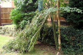 Woodlands Forest school