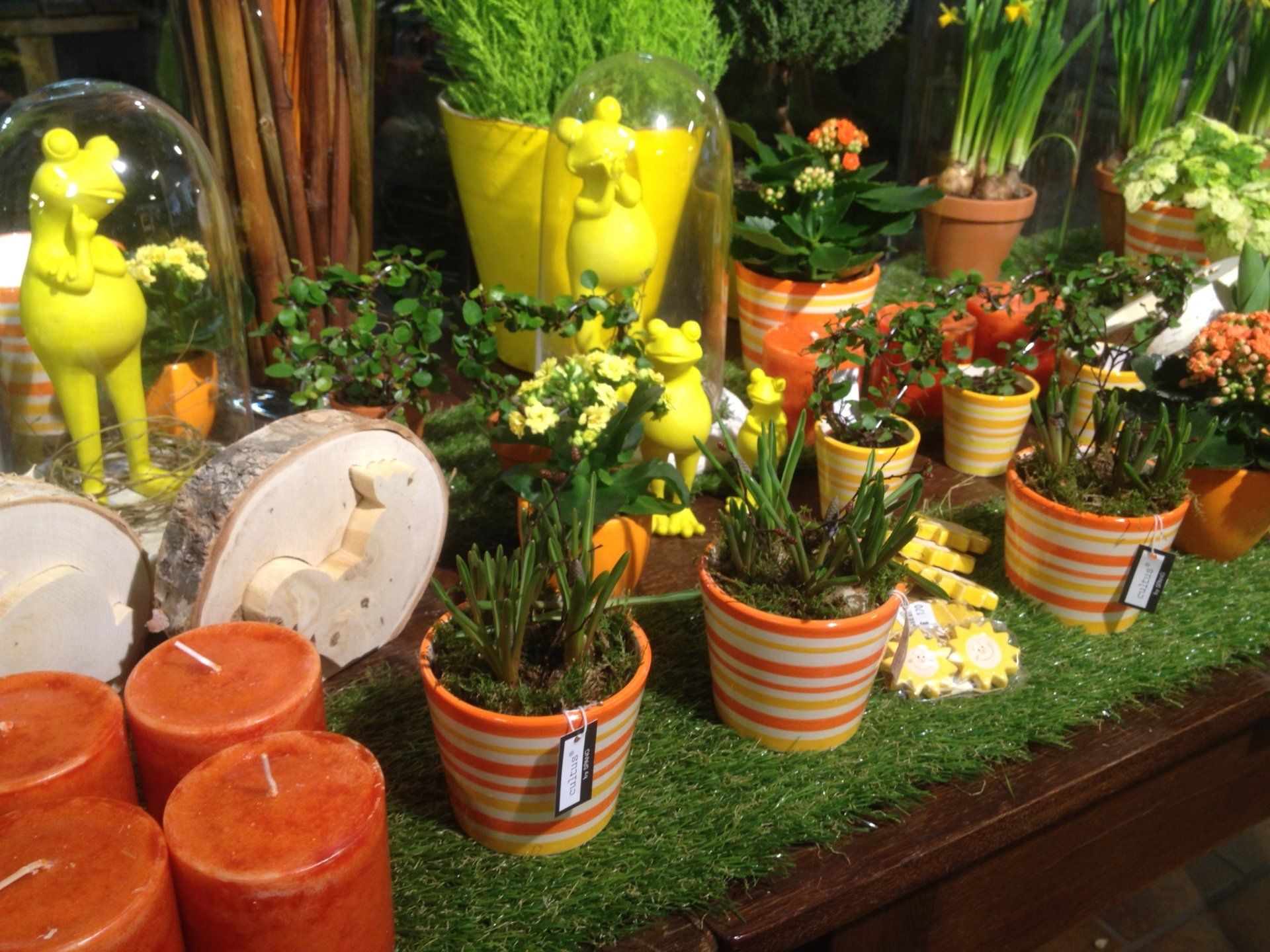 Tischdekoration mit Pflanzen