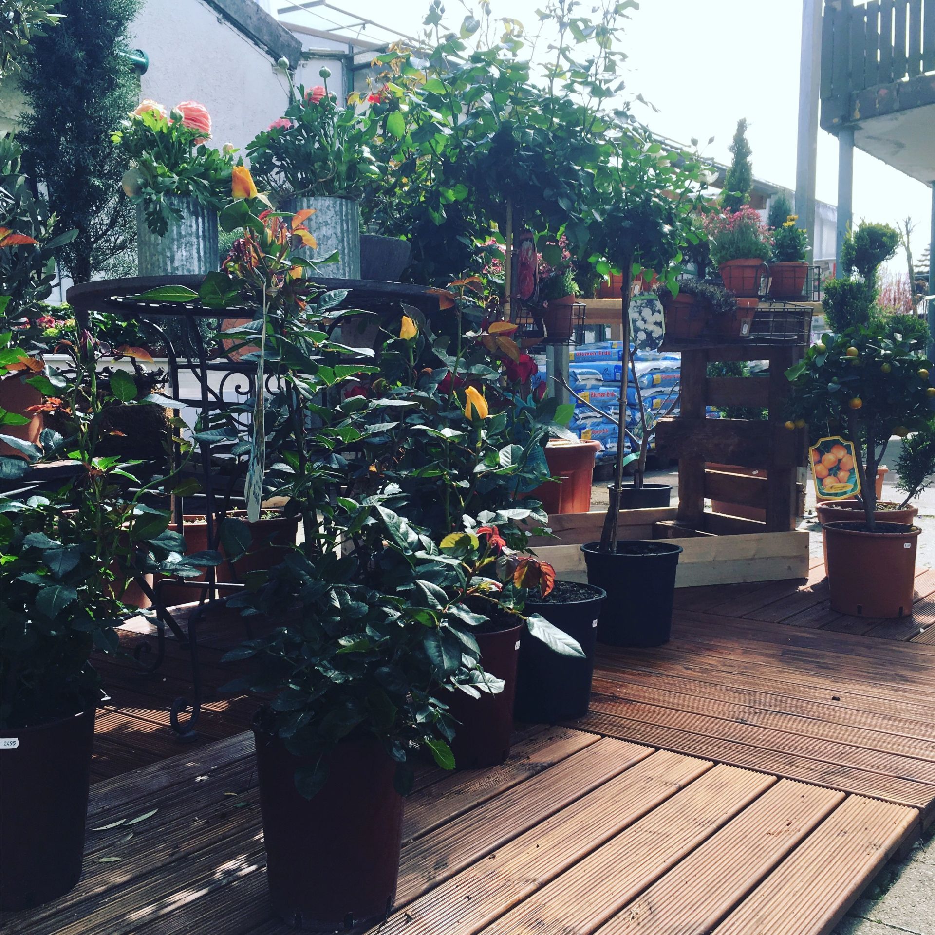 Dekoratin Gärtnerei Arbeiter