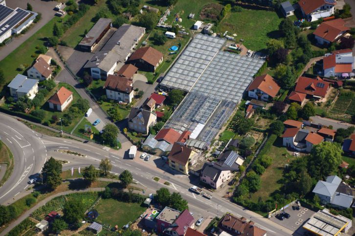 Arbeiter Gärtnerei und Floristik Mosbach Blumen Pflanzen