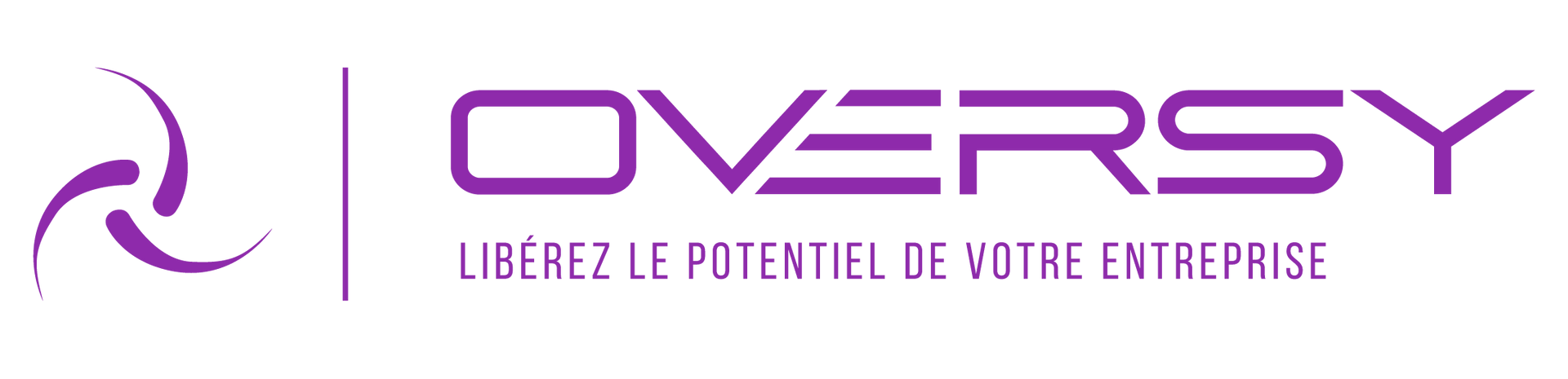 temps partagé, direction financière, contrôle de gestion, outils de gestion sur mesure