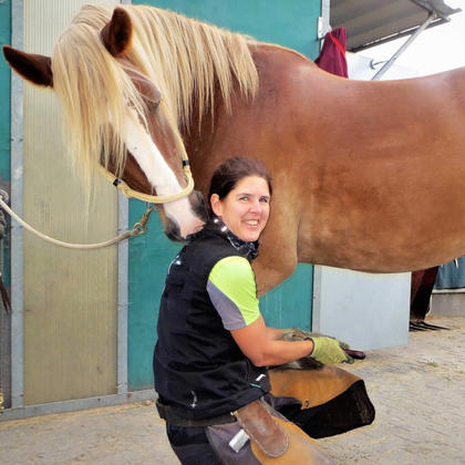 Hufbearbeitung Pferd Hufrehabilitation Huforthopädin Huffotos Hufbilder Vorher nachher