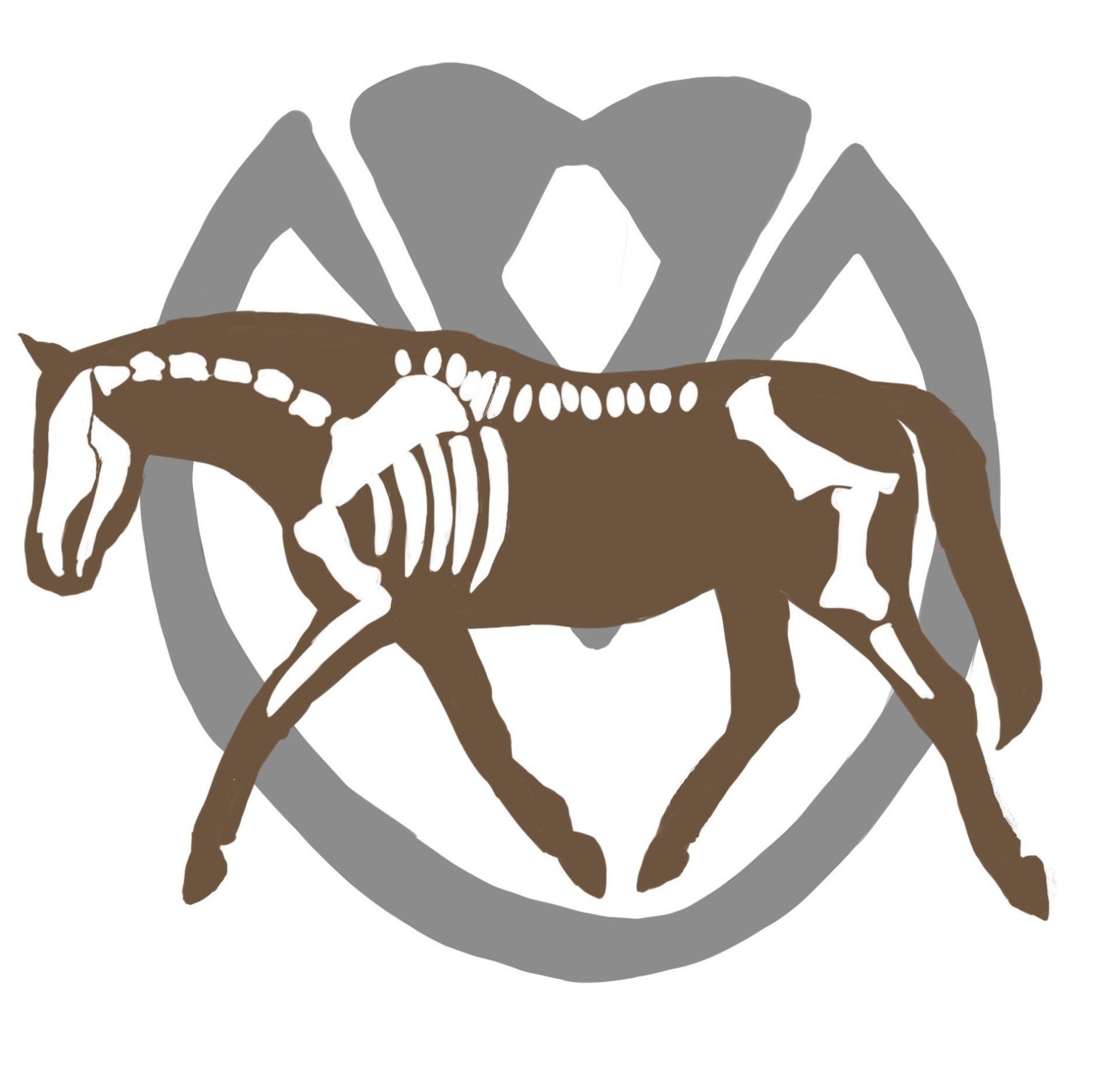 Tamara Winterling DIfHO Huforthopädie und Dorn-Therapie