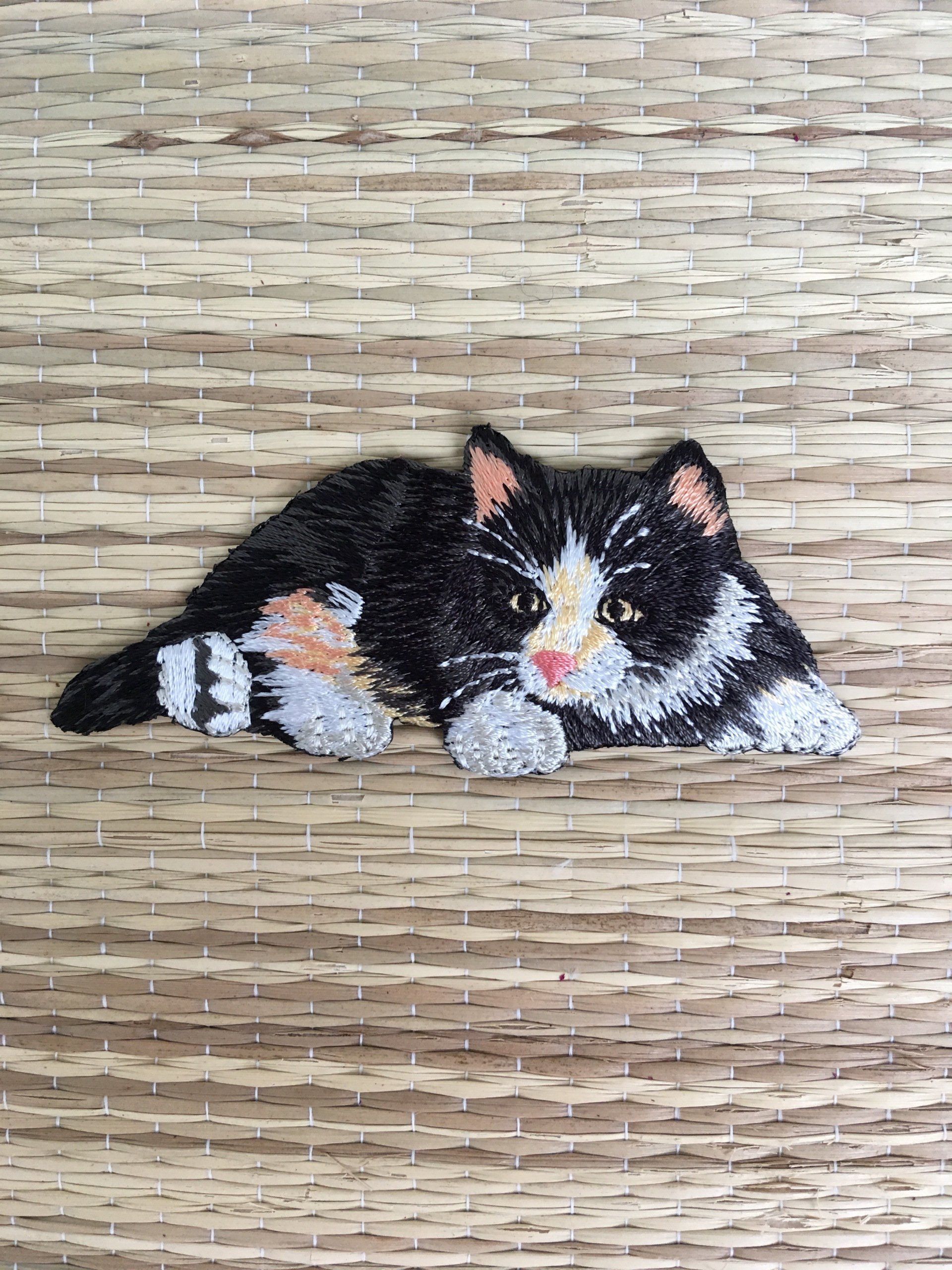 Krafttier Katze
