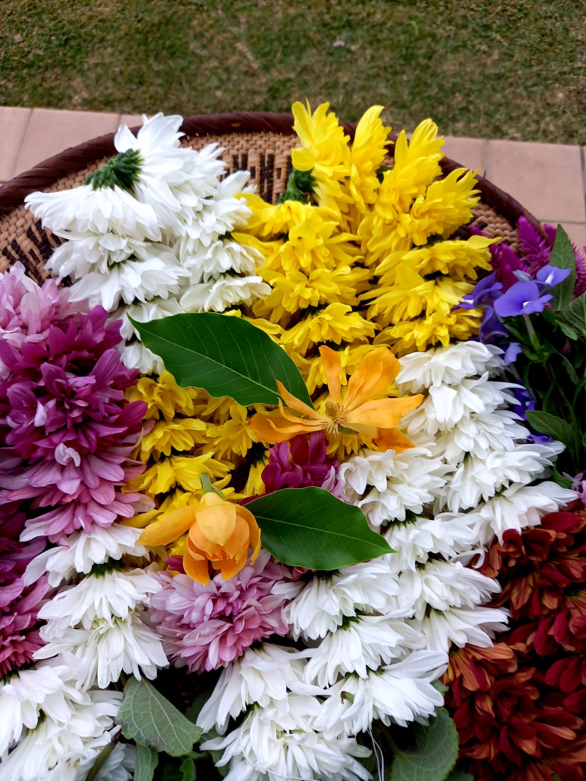 Offrande de Shivaratri