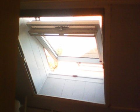 Wenn sie das Dachflächenfenster im Winter nicht brauchen einfach aushängen und ihr Fliegengitter ist verschwunden