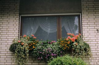 So können sie auch ganz einfach ihre Blumen gießen ! Mit Siegel Fliegenfenstersystemen sperren sie sich nicht ein!