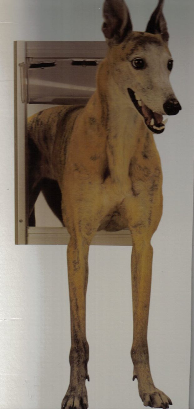 Auch Dackel haben hier keine Probleme Eine bewegliche Hundeklappe für lange Körperrassen