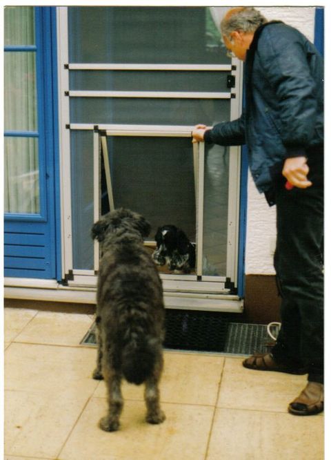 Für jede Hunderasse eine eigene Hundeklappe! Große Hundeklappen für Große Hunderassen