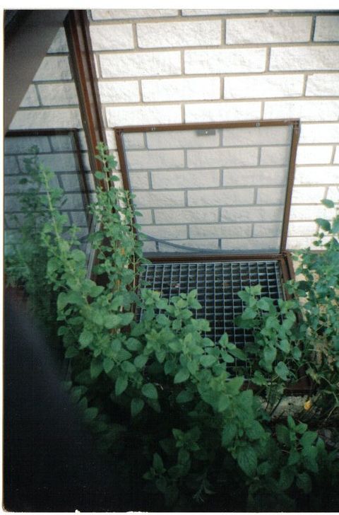 Fliegengitter Kellerschacht ausgelegt zum leichten reinigen Fliegengitter Kellerschacht ausgelegt zum leichten reinigen