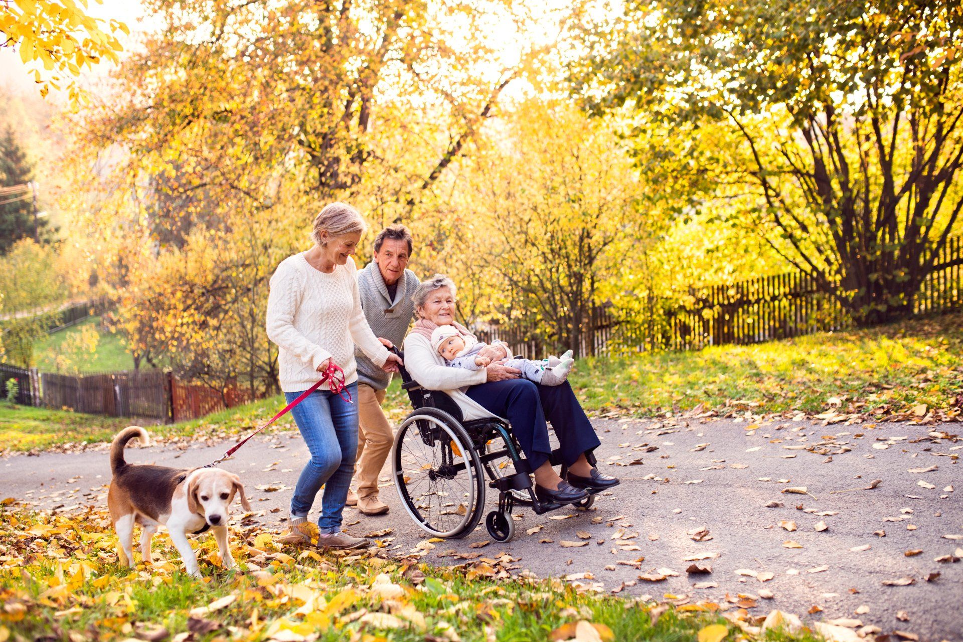 Image of a dog and a couple, an elderly lady in a wheelchair holding a baby on her knee walking on a path in Autumn with leaves on the path.