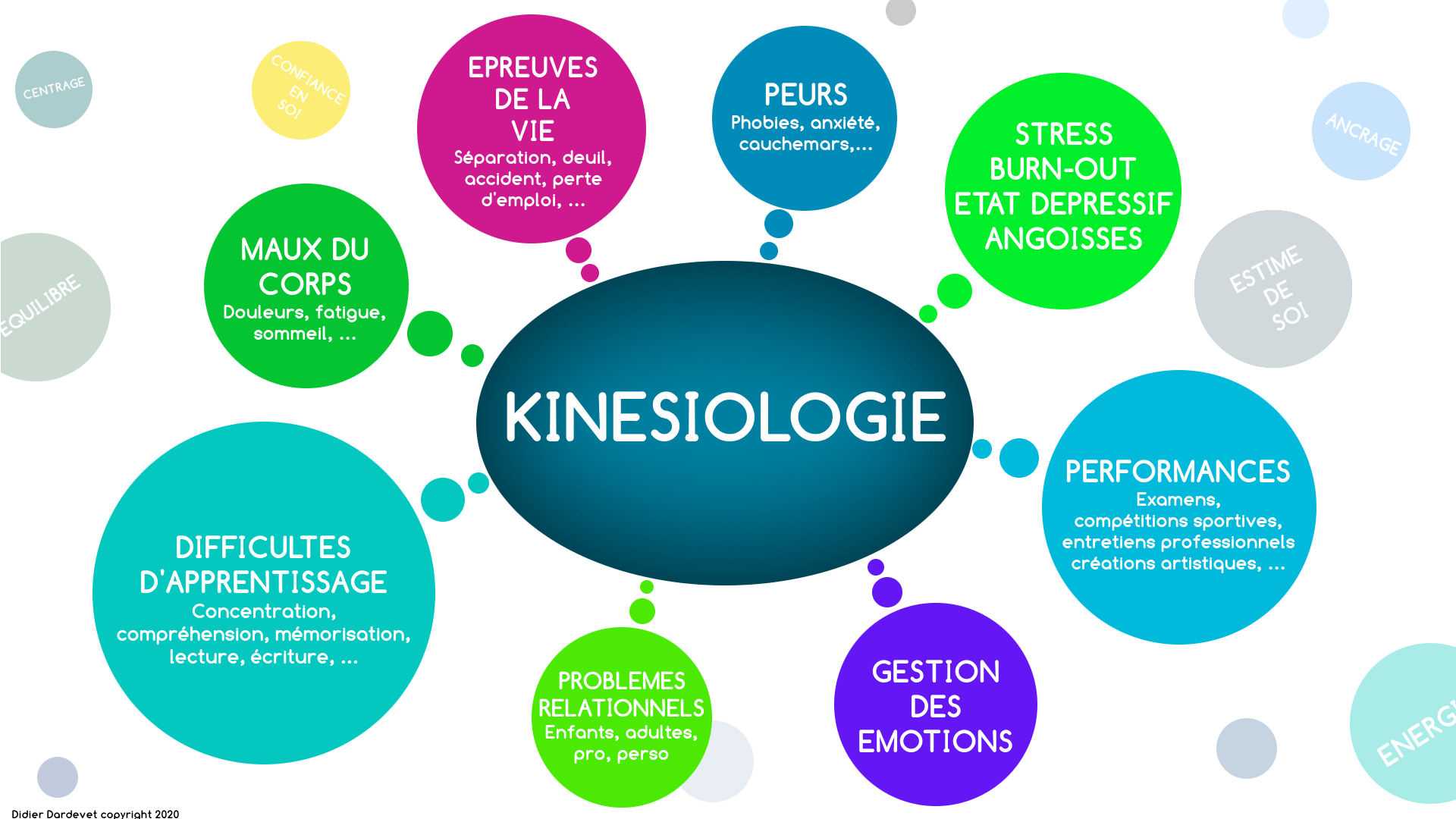 schéma du champ d'intervention de la kinésiologie