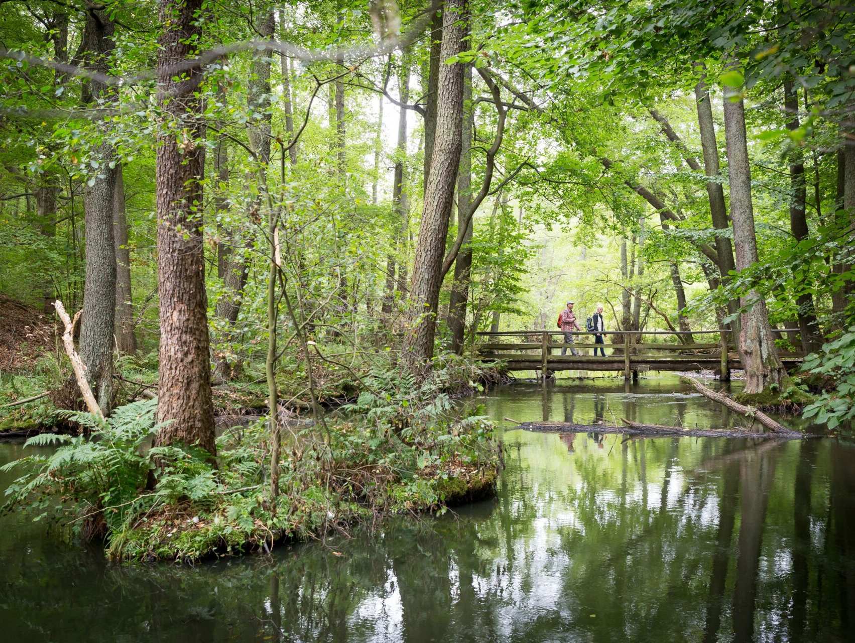Naturpark Schlaubetal, Seenland Oder-Spree, Foto: Florian Läufer