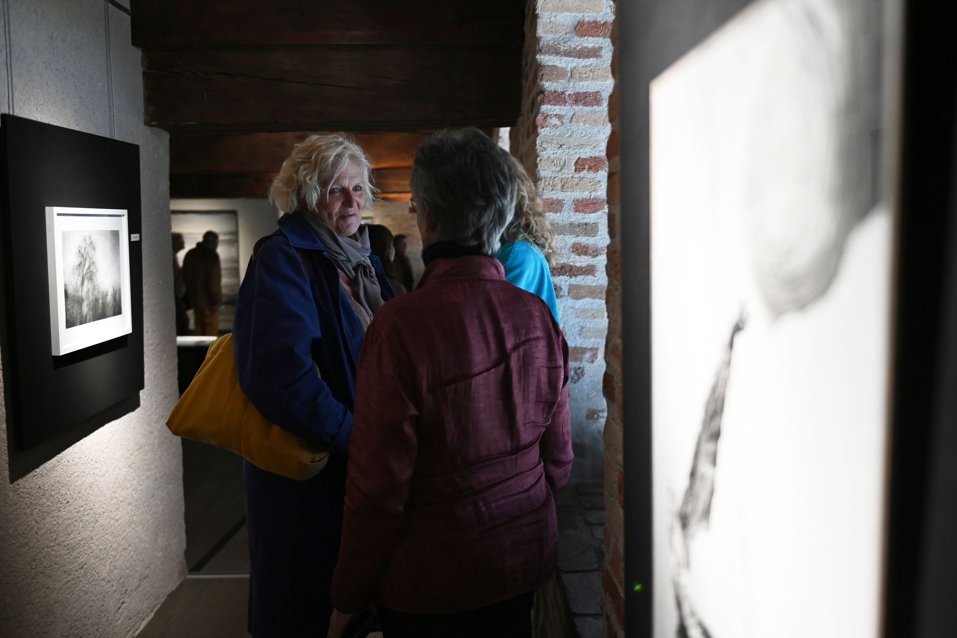 Personnes se rencontrant dans un vernissage d'exposition