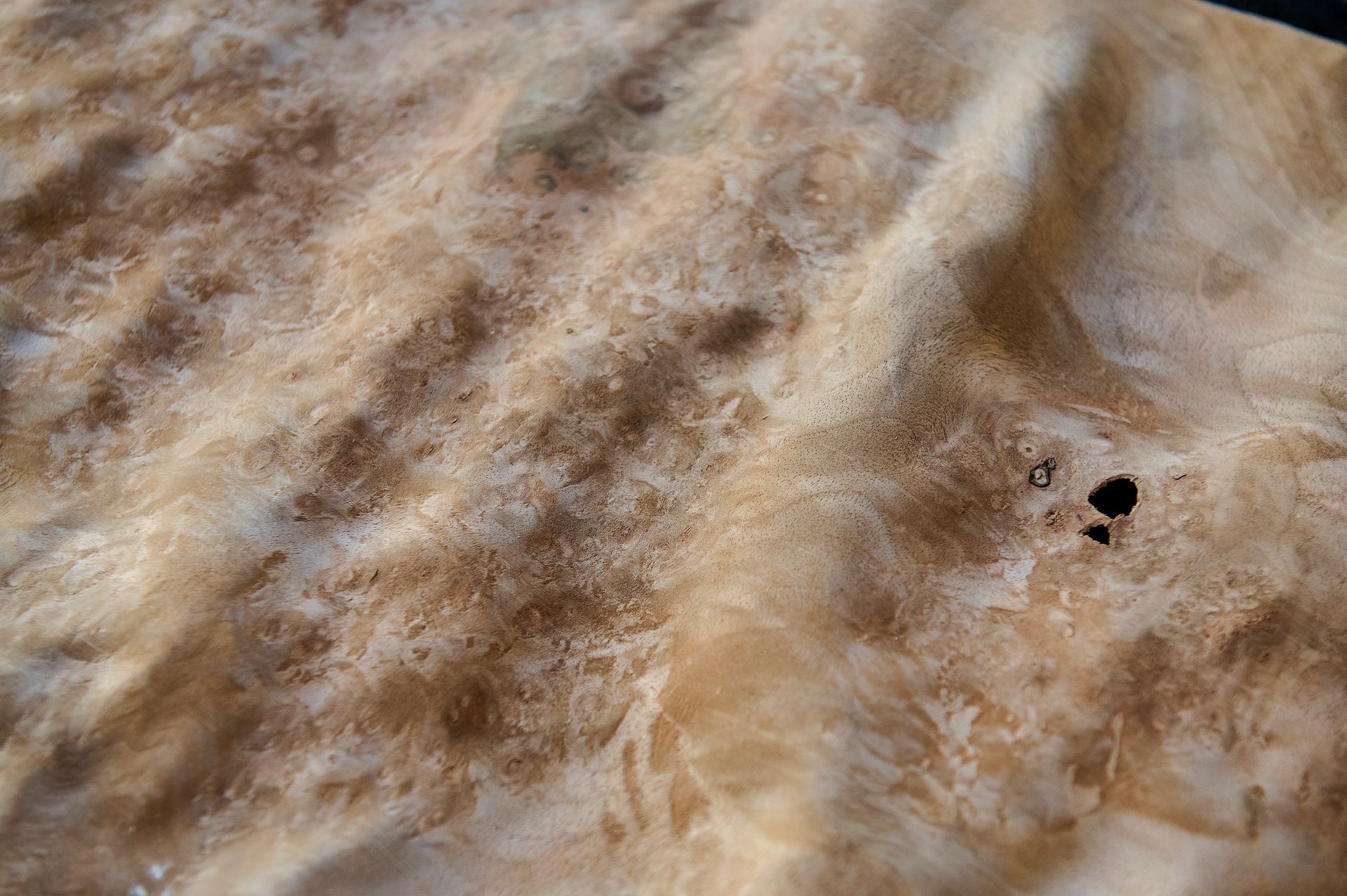Détail de texture sur une feuille de bois