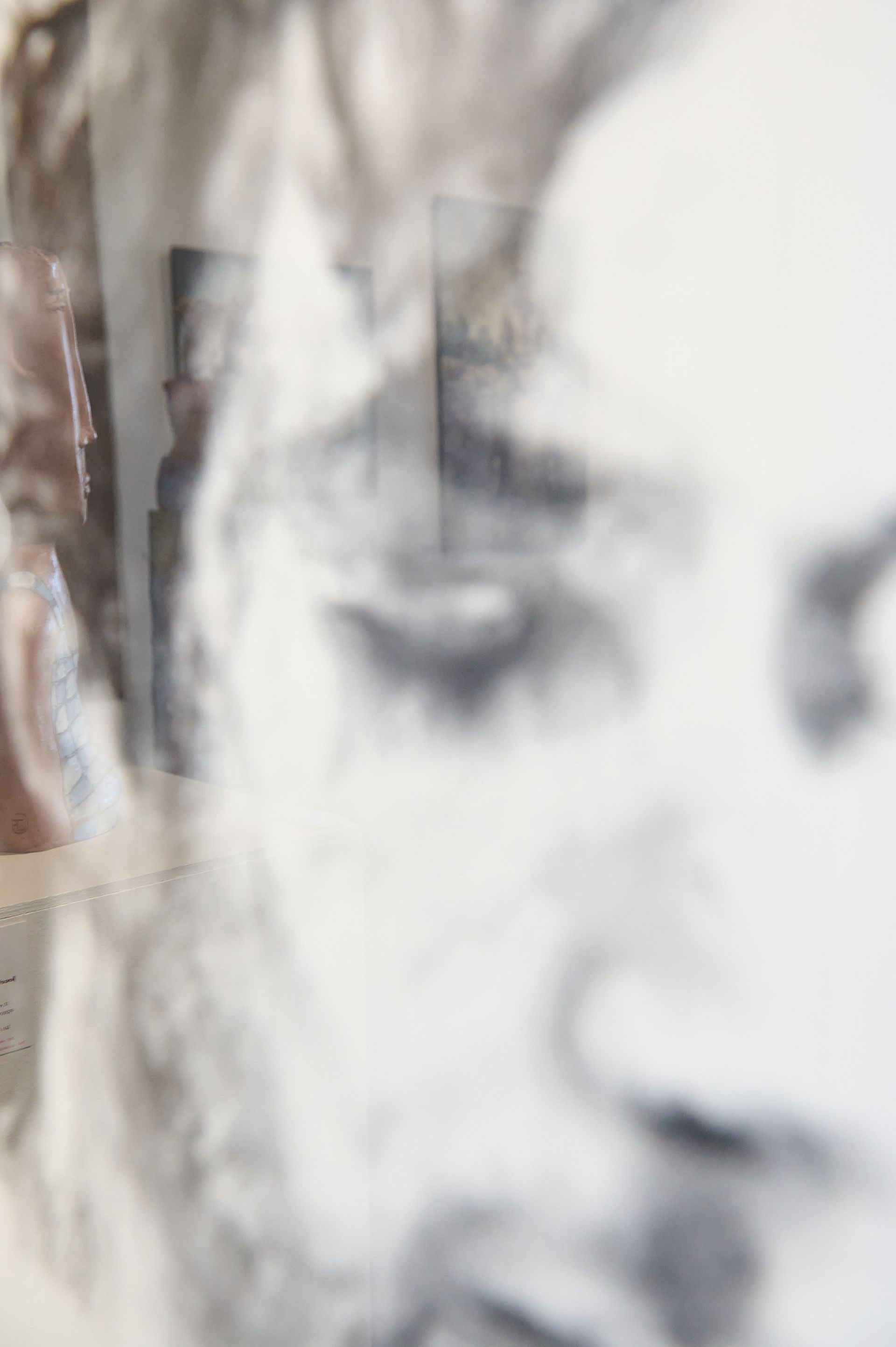 reflet dans une photographie