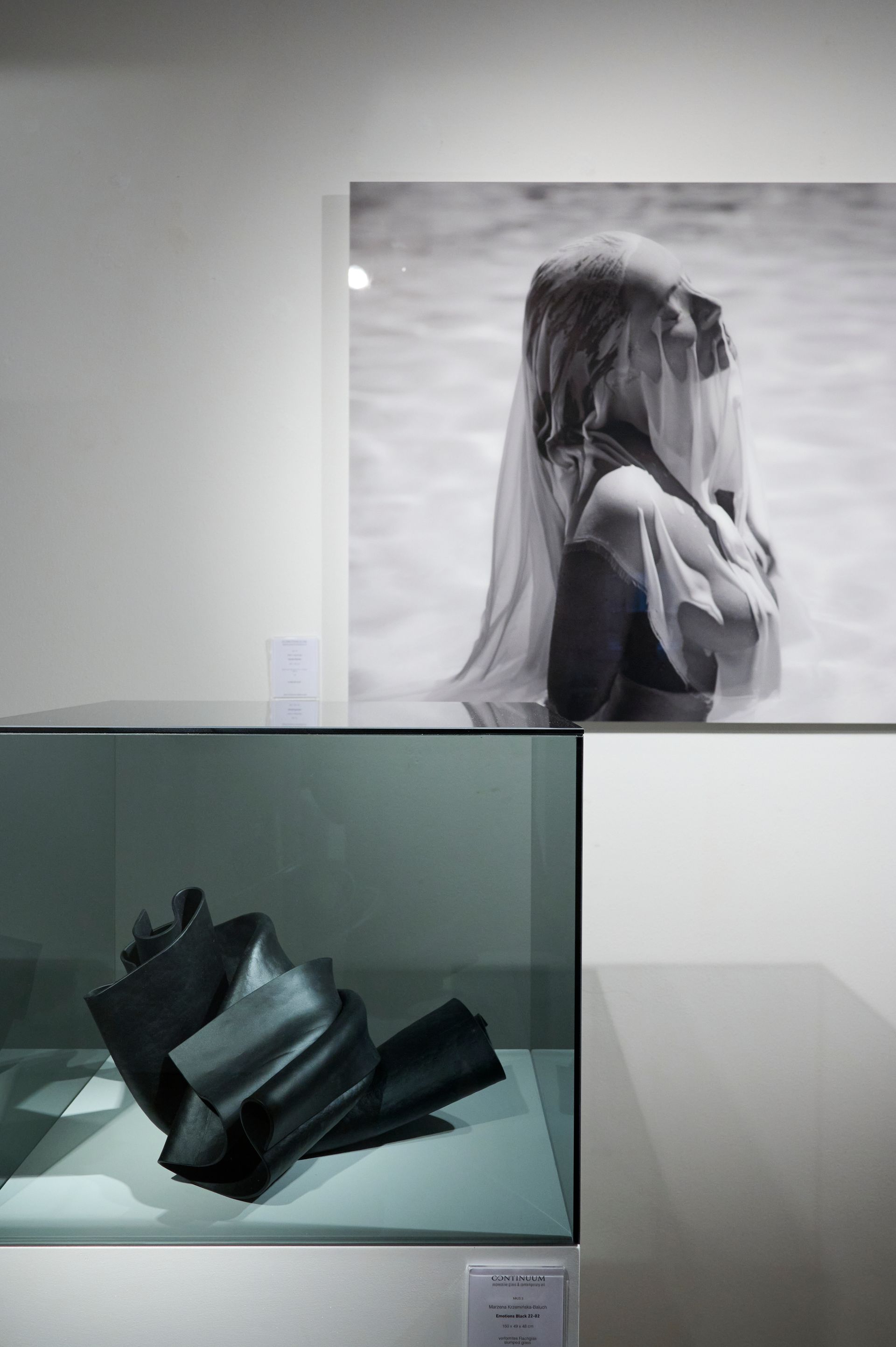 Association de drapé en verre et en photgraphie à la Continuum Gallery