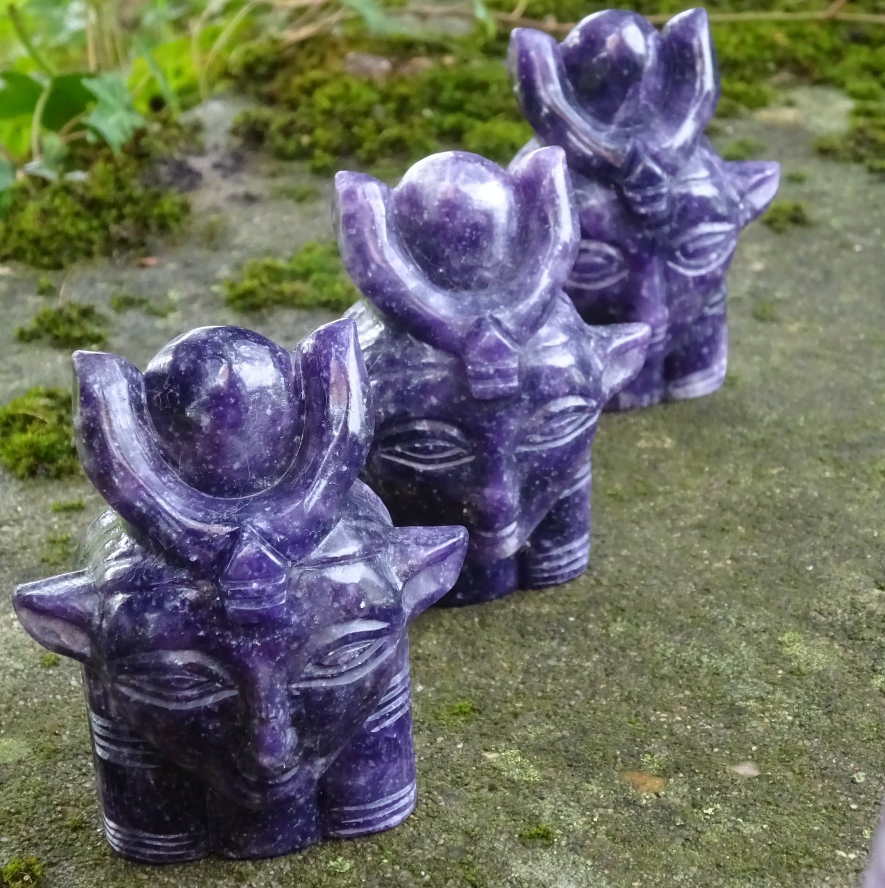 Hathorenbild Hathorenbild