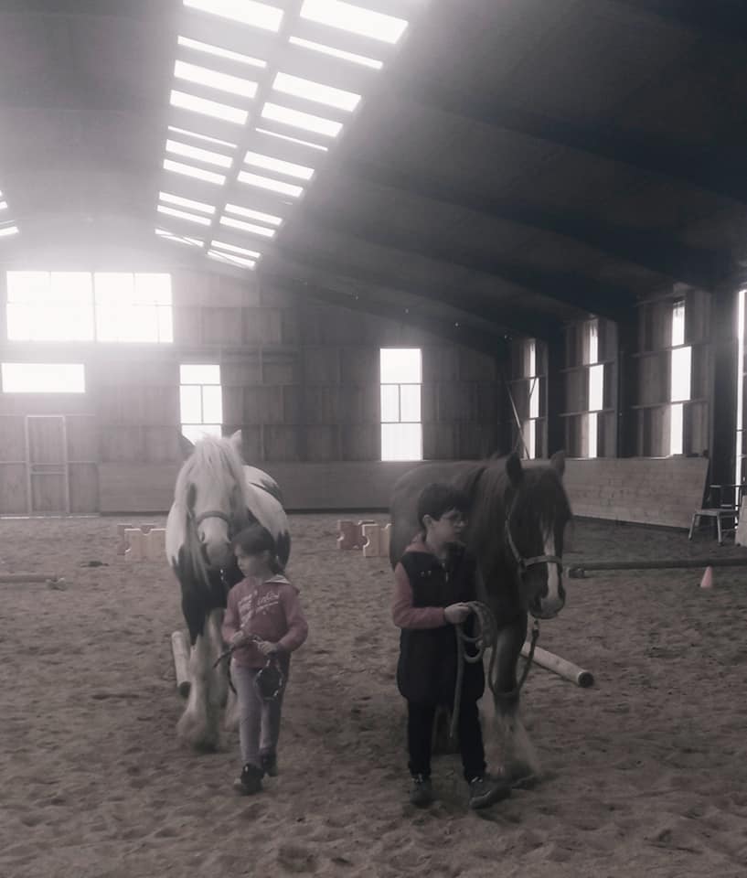 médiation équine, équithérapie, équicie, équicoaching, équimotricité, groupe habilités sociales, groupe éveil avec les poney