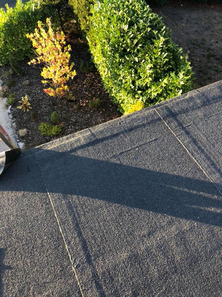 flat roofing Exeter