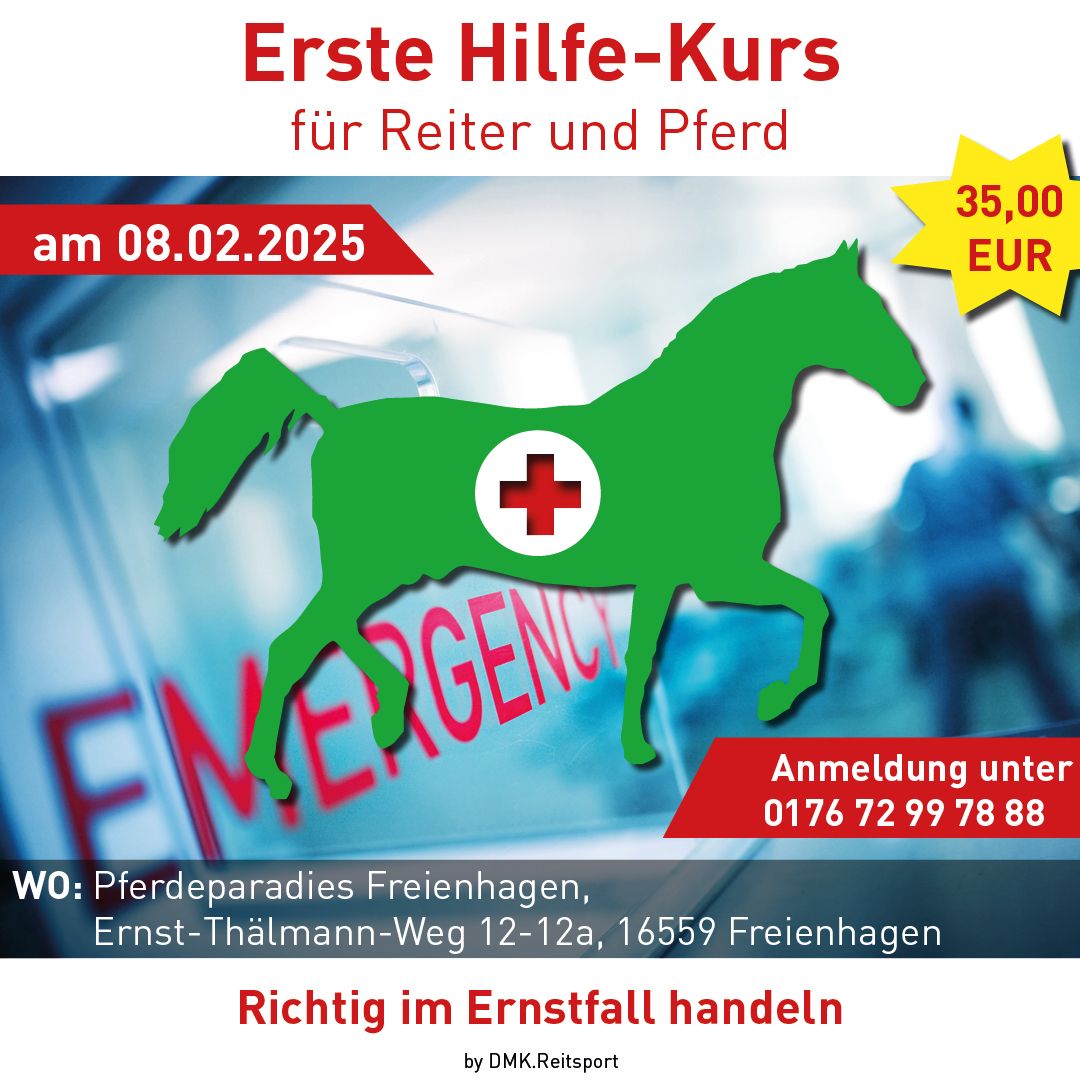Erste Hilfe-Kurs Erste Hilfe-Kurs 08.02.2025