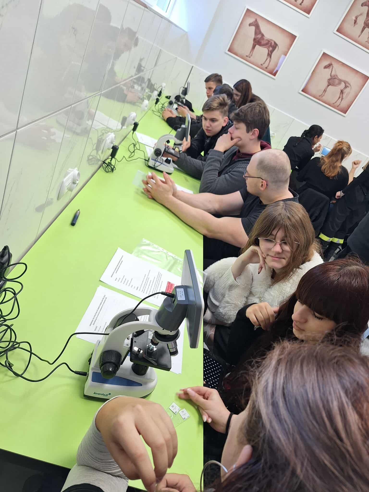 Studierende beim Mikroskopieren