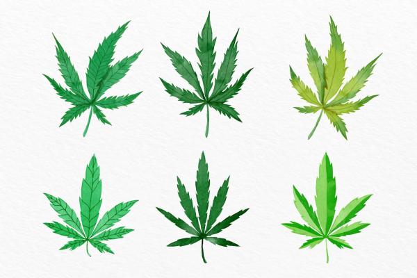 hypnose-cannabis-algees-therapie