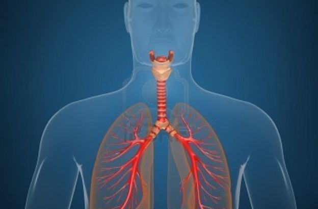 Fisiologia della respirazione