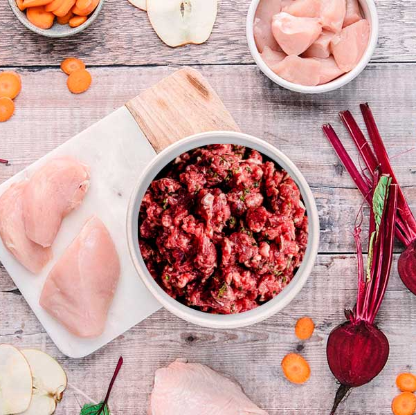 carnivore cat food meat barf raw diet nutrition