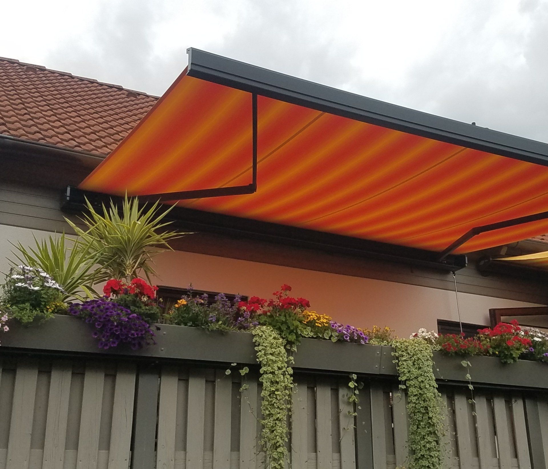 elektrische Kassettenmarkise, Markisen vom Onlinefachhändler