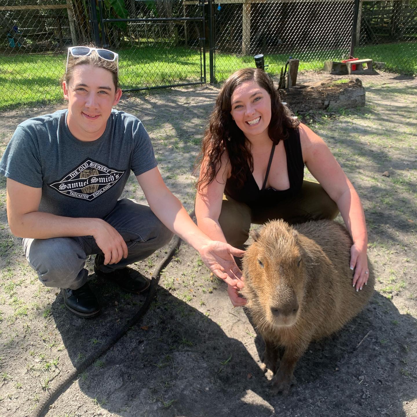 Capybara encounter