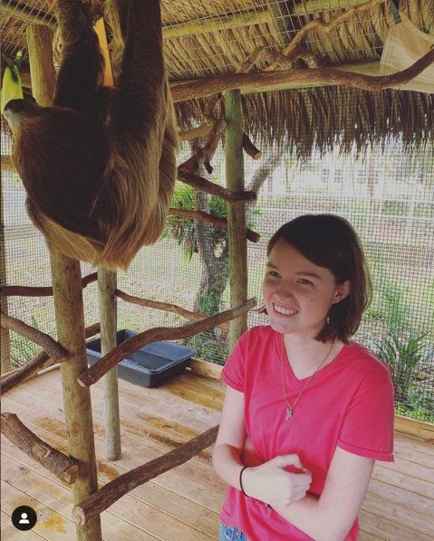 Sloth Encounter