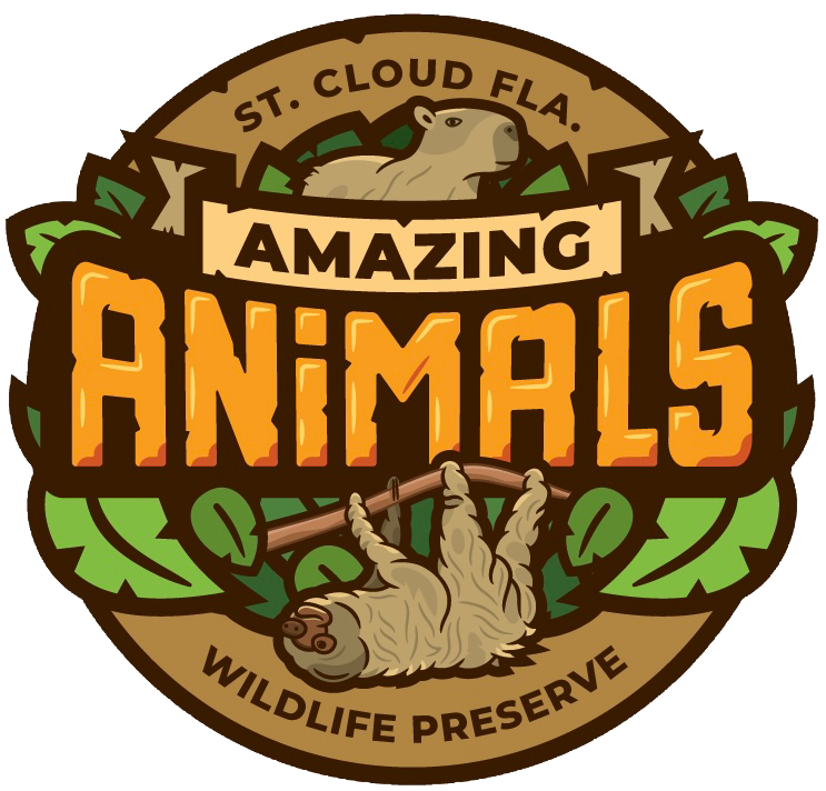 Home Amazing Animals Inc. Logo